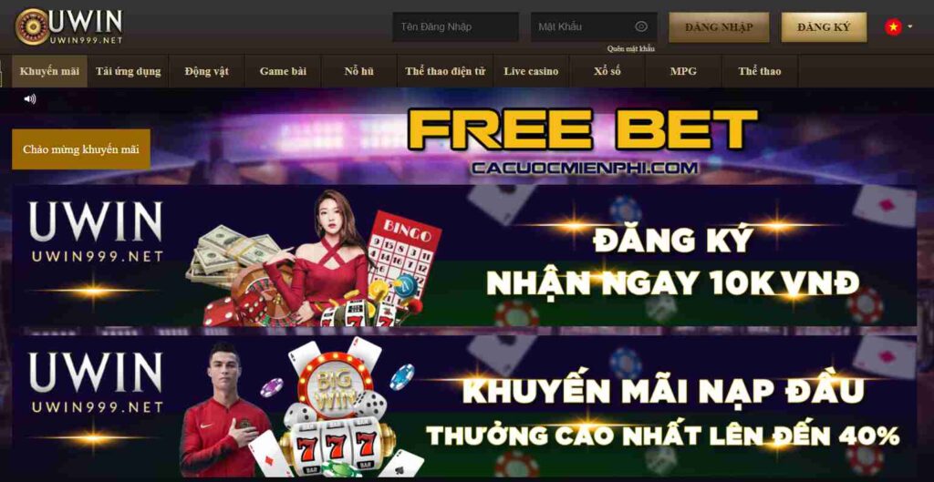 Ee8801 có giấy phép hợp lệ không? - Ee8801