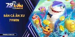68Lottery cung cấp những dịch vụ gì? - 68Lottery
