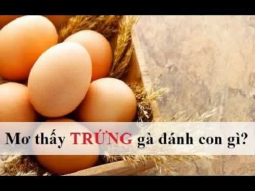Khu trò chơi bắn cá đạt chuẩn 88Clb này cung cấp những dịch vụ gì? - 88Clb