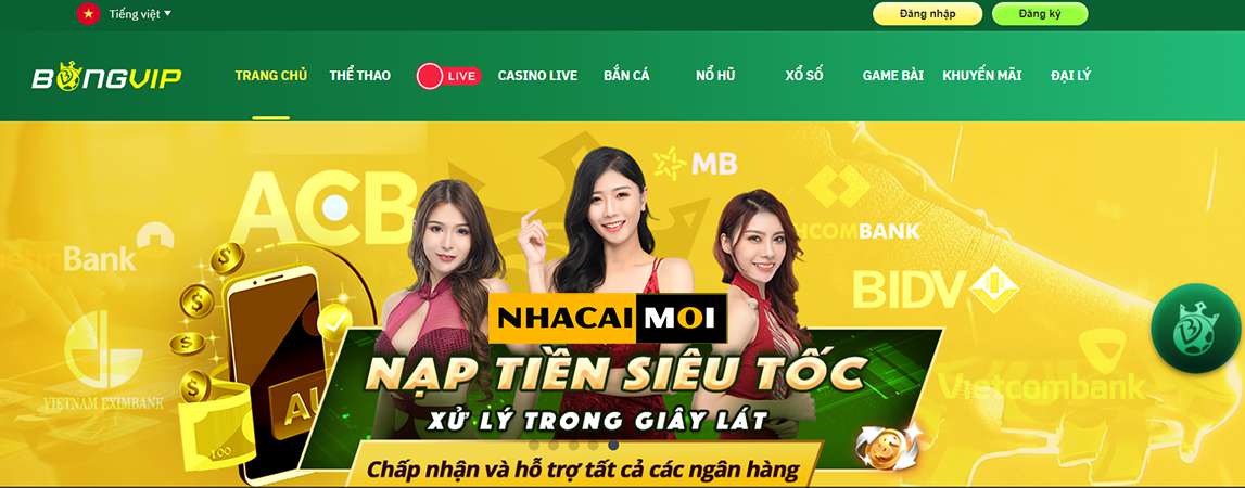 Tải xuống từ nền tảng Ev88 và tận hưởng niềm vui trên thiết bị di động của bạn - Ev88