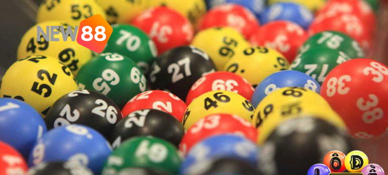 Lý do nên chọn cá cược bóng chuyền cấp độ 23Win - 23Win