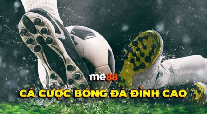 Nền tảng cá cược thể thao phổ biến nhất của Xin88 - Xin88