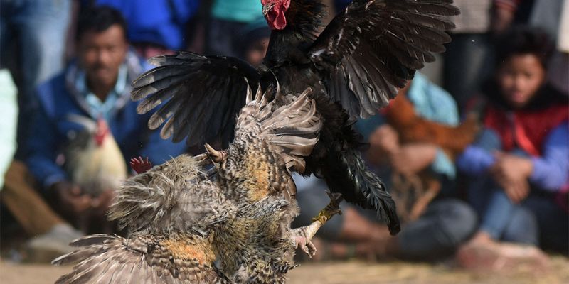 Các bước đơn giản để đăng ký làm đại lý Tp88 - Tp88