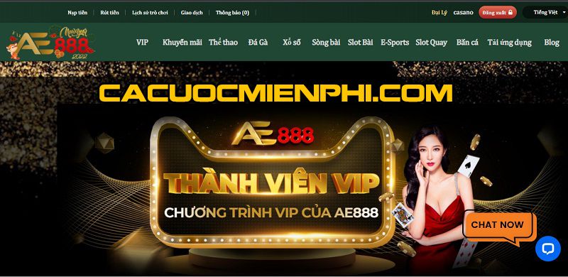 Hãy cùng tìm hiểu những thông tin cơ bản về Vnbet - Vnbet