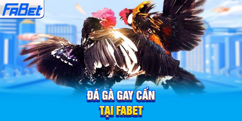 Làm thế nào để tăng cơ hội thắng khi chơi máy đánh bạc tại sòng bạc hạng 58M? - 58M