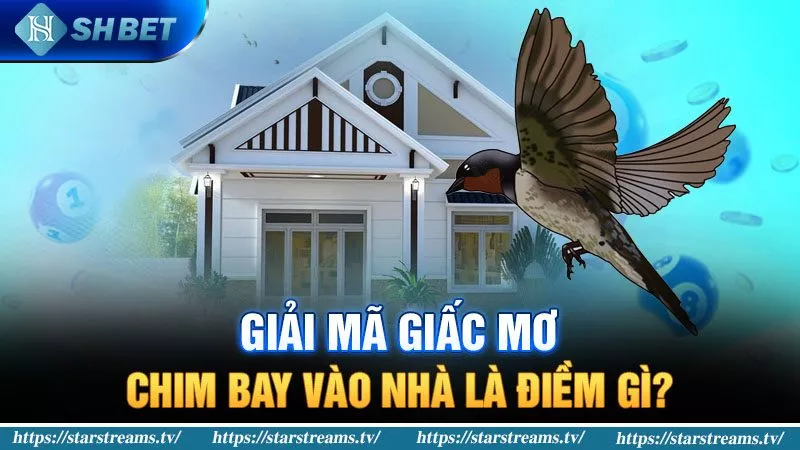 Giải thích sức hút mạnh mẽ của 126Bet Gaming đối với người chơi cá cược - 126Bet