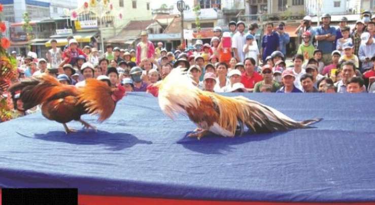 Betvnd đã triển khai một loạt các hoạt động khuyến mãi vô cùng hấp dẫn - Betvnd