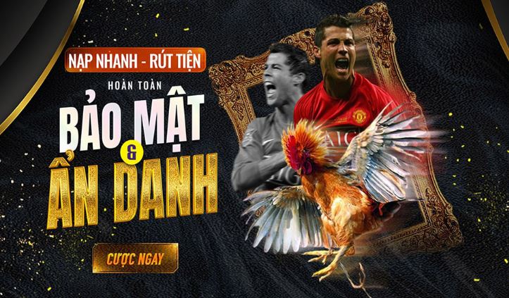 Trò chơi thẻ bài cấp độ Lucky88 nào phổ biến nhất? - Lucky88