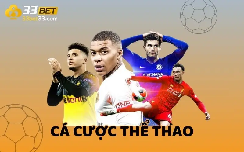 Các thành viên Vin77 sẽ được hưởng những quyền lợi độc quyền - Vin77