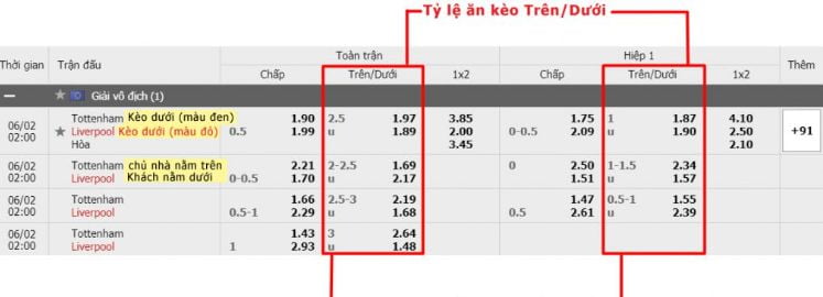 Tải ứng dụng Vn123 để nhận phần thưởng hấp dẫn! - Vn123