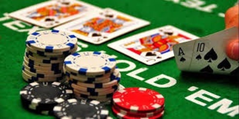 Sự khác biệt giữa Bigboss và Bigboss Palace là gì? - Bigboss