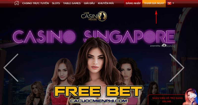 Banca đưa ra cái nhìn tổng quan về tình hình - Banca
