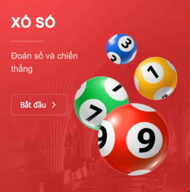 Thể thao chuyên nghiệp cấp 11Vn - 11Vn