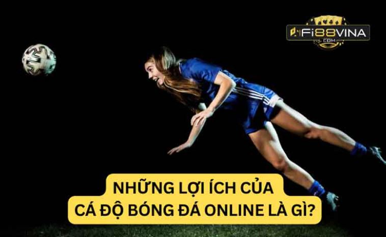 Trang web phát trực tiếp cắm trại Vn138 - Vn138