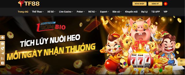 Hr99 bao gồm các trang web nền tảng trực tuyến phổ biến nhất - Hr99