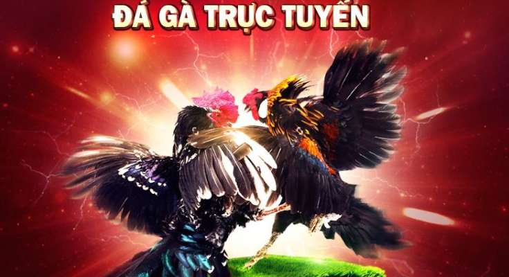 Đánh giá hệ thống cổng game Betvip - Betvip